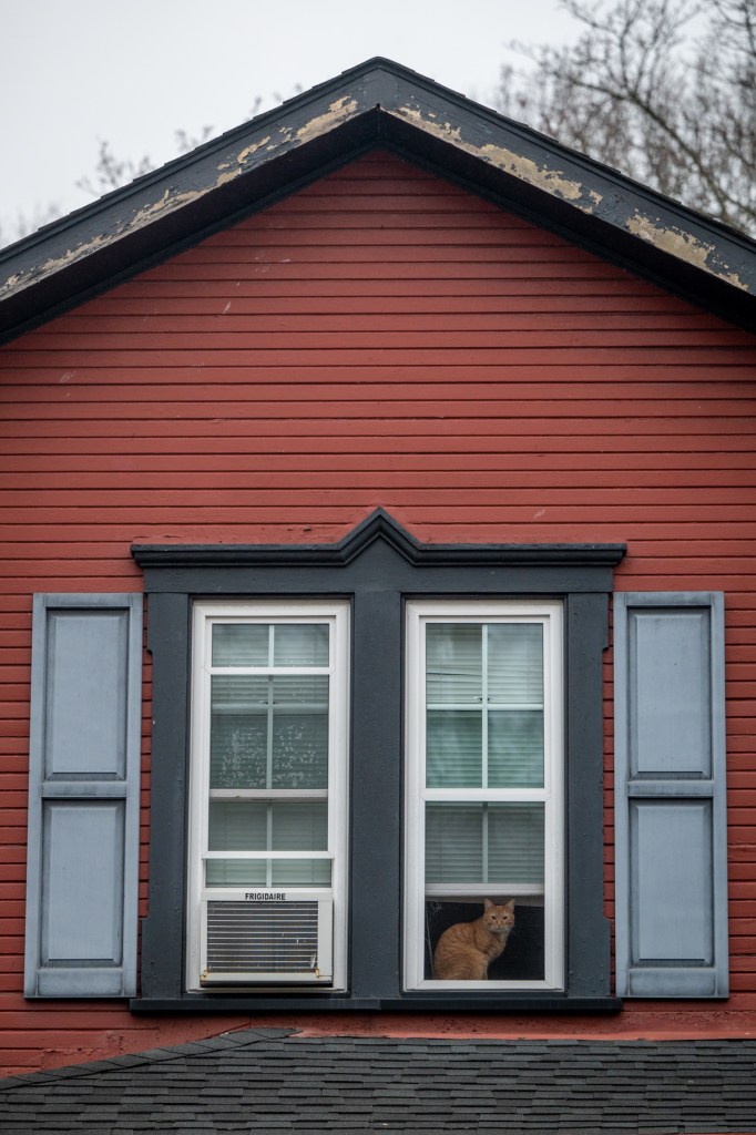 A cat peers from a second story window in Pittsburgh’s West End on Monday, Jan. 2, 2023, in Elliott. (Photo by Stephanie Strasburg/PublicSource)