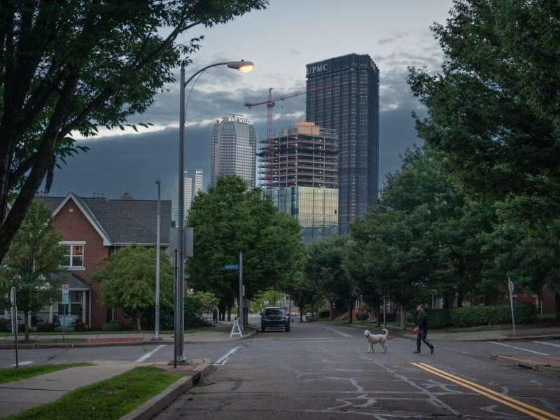 New construction in the Lower Hill rises beyond the trees and rooftops of the Crawford Square Apartments on Wednesday, Aug. 16, 2023, in Crawford-Roberts. (Photo by Stephanie Strasburg/PublicSource)