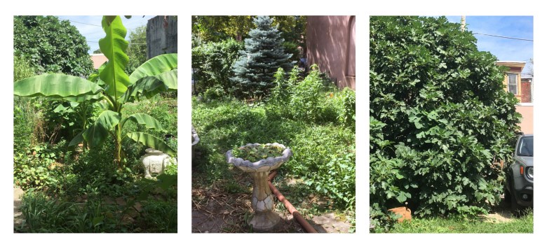 Patricia De Carlo’s next-door side yard in Philadelphia’s Norris Square neighborhood surged from $59,800 to $408,000 under the county’s reassessment program. (Photos courtesy of Patricia De Carlo)